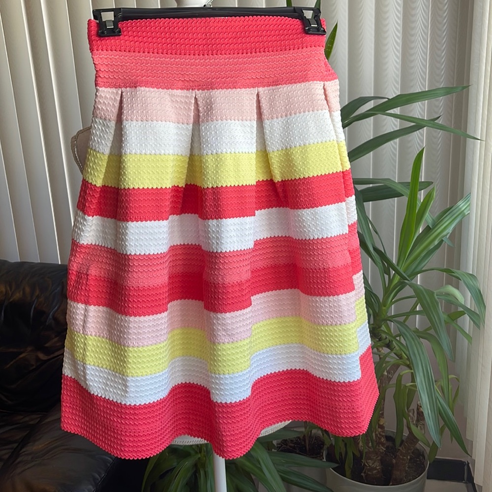 NWOT New York and Company beautiful striped pleated skirt 
size extra small